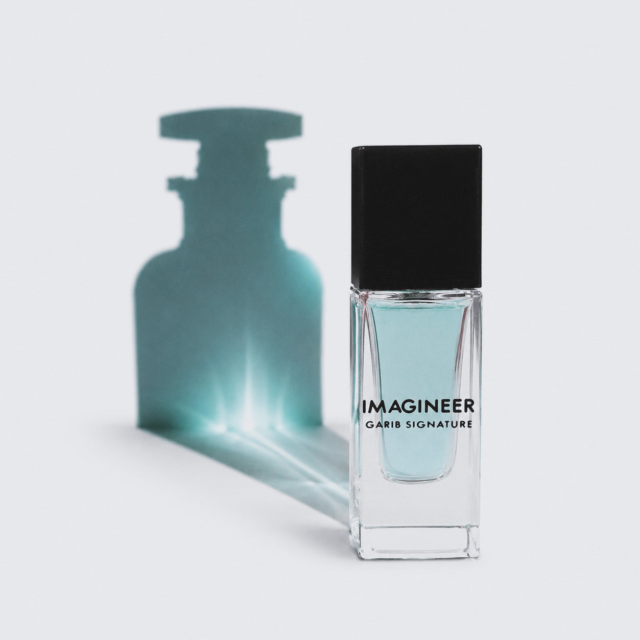 IMAGINEER